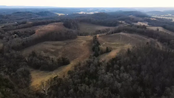 a view of a dry yard with green space