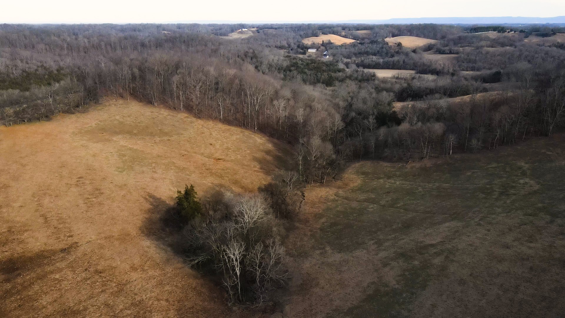 0 Oak Grove Road Belvidere, TN 37306 - Photo 2 of 17 a view of a dry yard