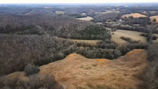 a view of a dry yard