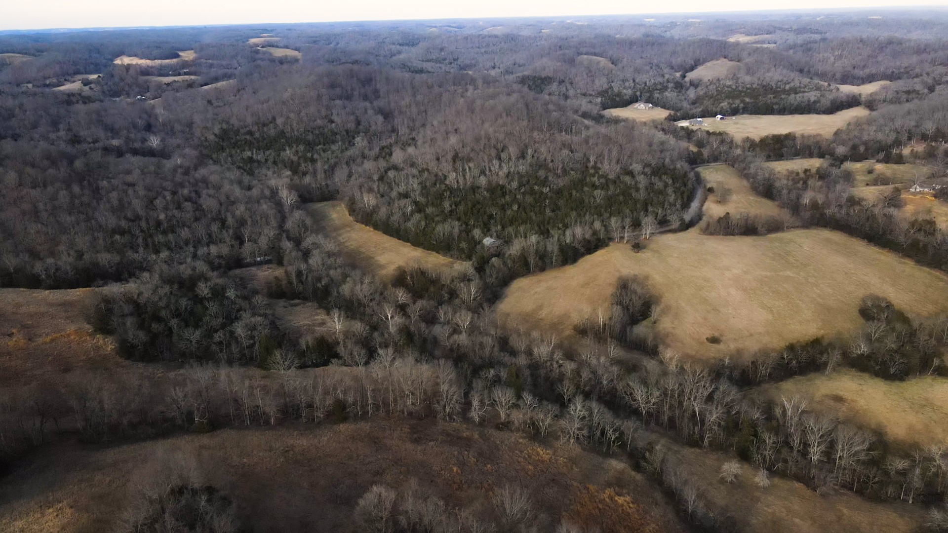 0 Oak Grove Road Belvidere, TN 37306 - Photo 8 of 17 a view of a dry yard