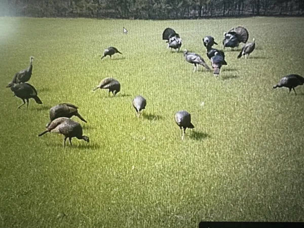 an aerial view of house with yard and mountain view in back