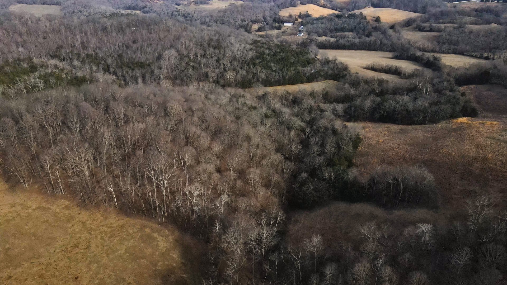 0 Oak Grove Road Belvidere, TN 37306 - Photo 9 of 17 a view of a lot of trees and bushes