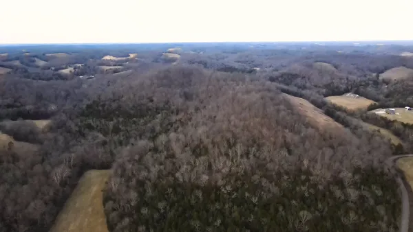 a view of a dry yard