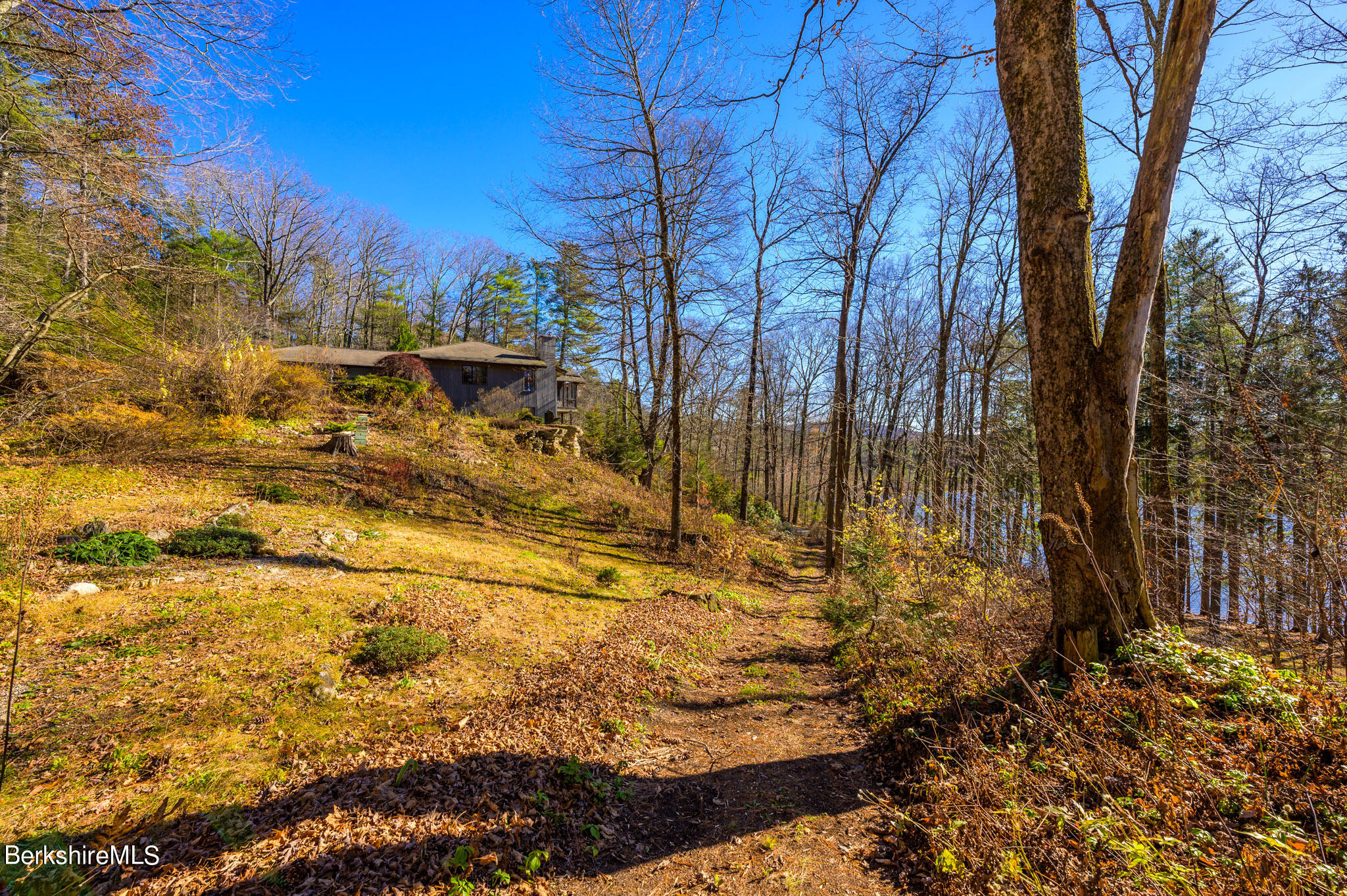 140 Main Road Monterey, MA 01230 - Photo 42 of 48 a view of back yard of the house