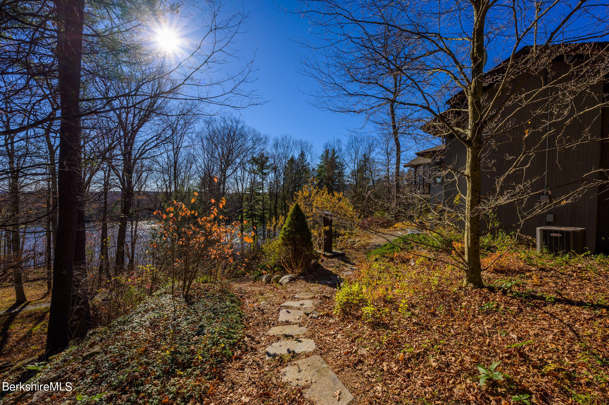 140 Main Road Monterey, MA 01230 - Photo 45 of 48 a view of a yard with plants and trees