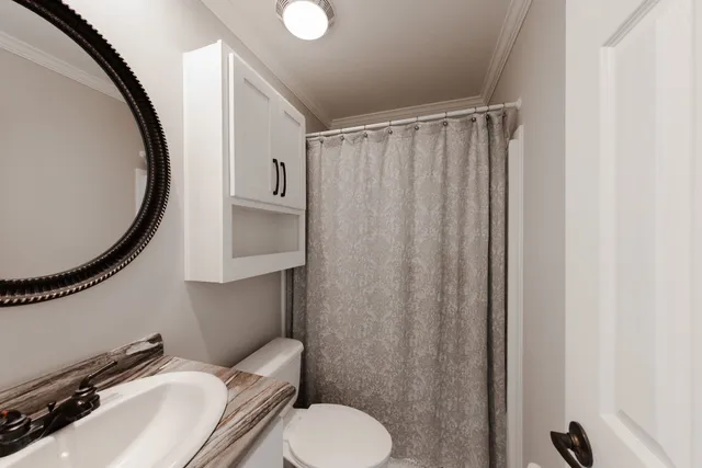 a bathroom with a sink mirror and toilet