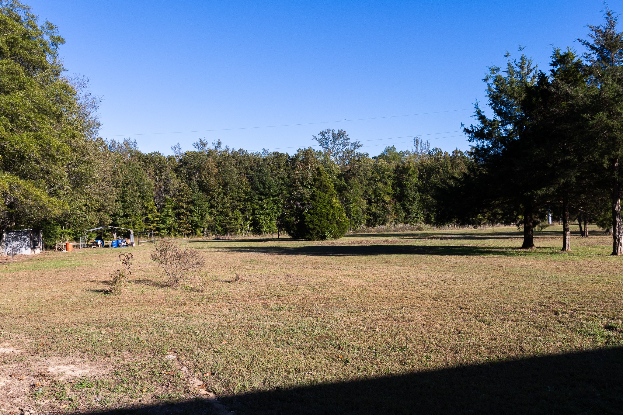 307 Swiss Colony Road Hohenwald, TN 38462 - Photo 22 of 35 a view of ocean view with large trees