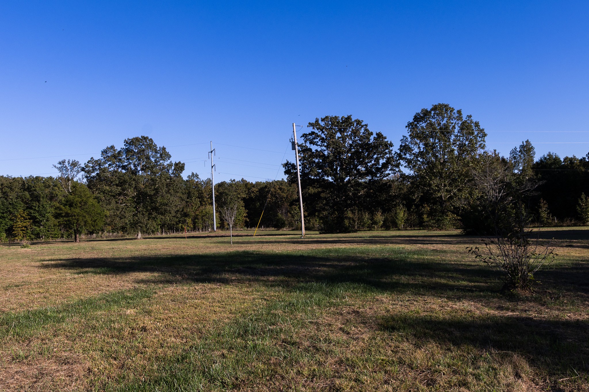 307 Swiss Colony Road Hohenwald, TN 38462 - Photo 23 of 35 a view of outdoor space and yard