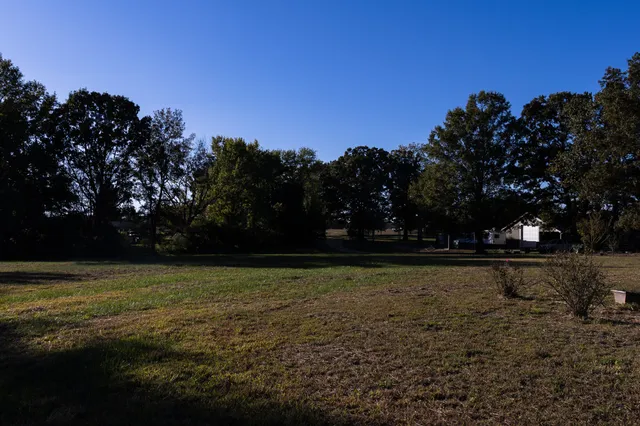 a view of dirt field and trees