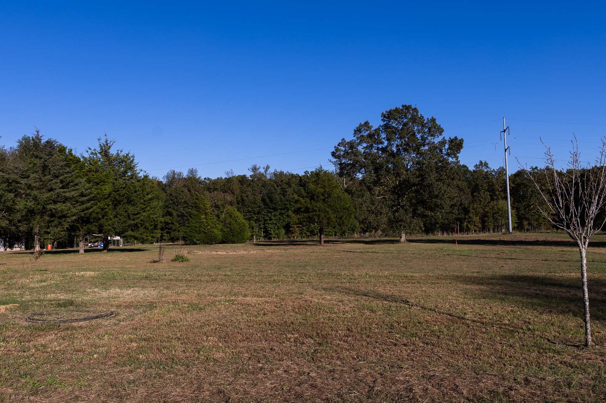 307 Swiss Colony Road Hohenwald, TN 38462 - Photo 26 of 35 a view of dirt field with trees