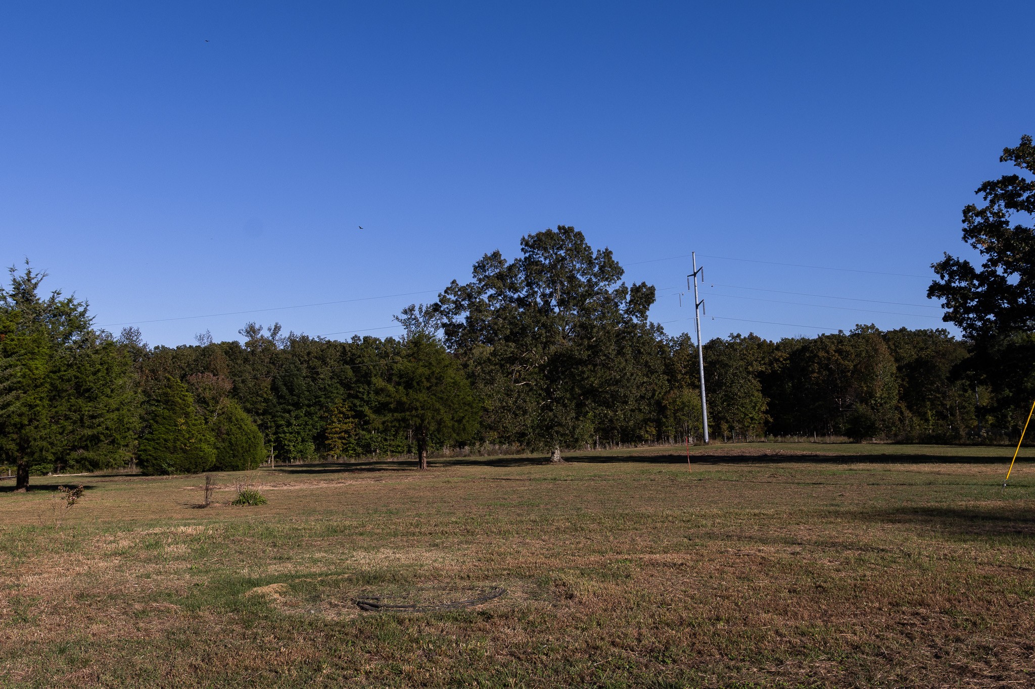 307 Swiss Colony Road Hohenwald, TN 38462 - Photo 27 of 35 a view of dirt field and trees