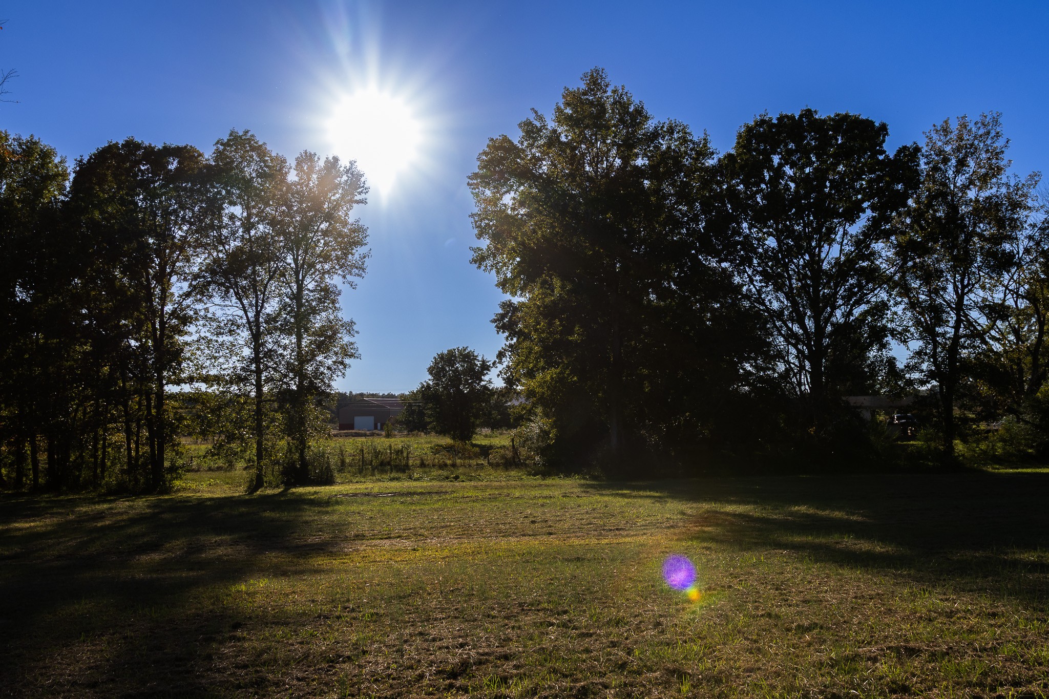 307 Swiss Colony Road Hohenwald, TN 38462 - Photo 28 of 35 a view of yard
