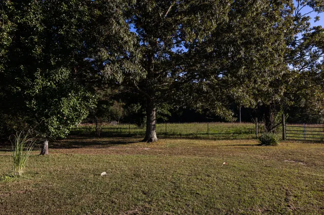 a view of a lake from a yard