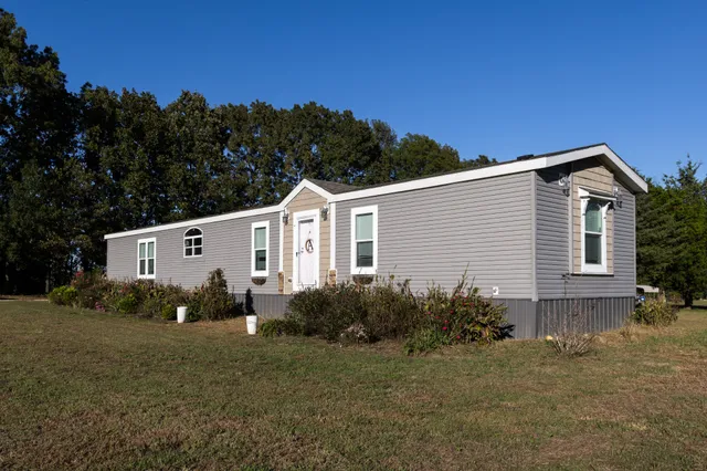 a view of a backyard with plants and large trees