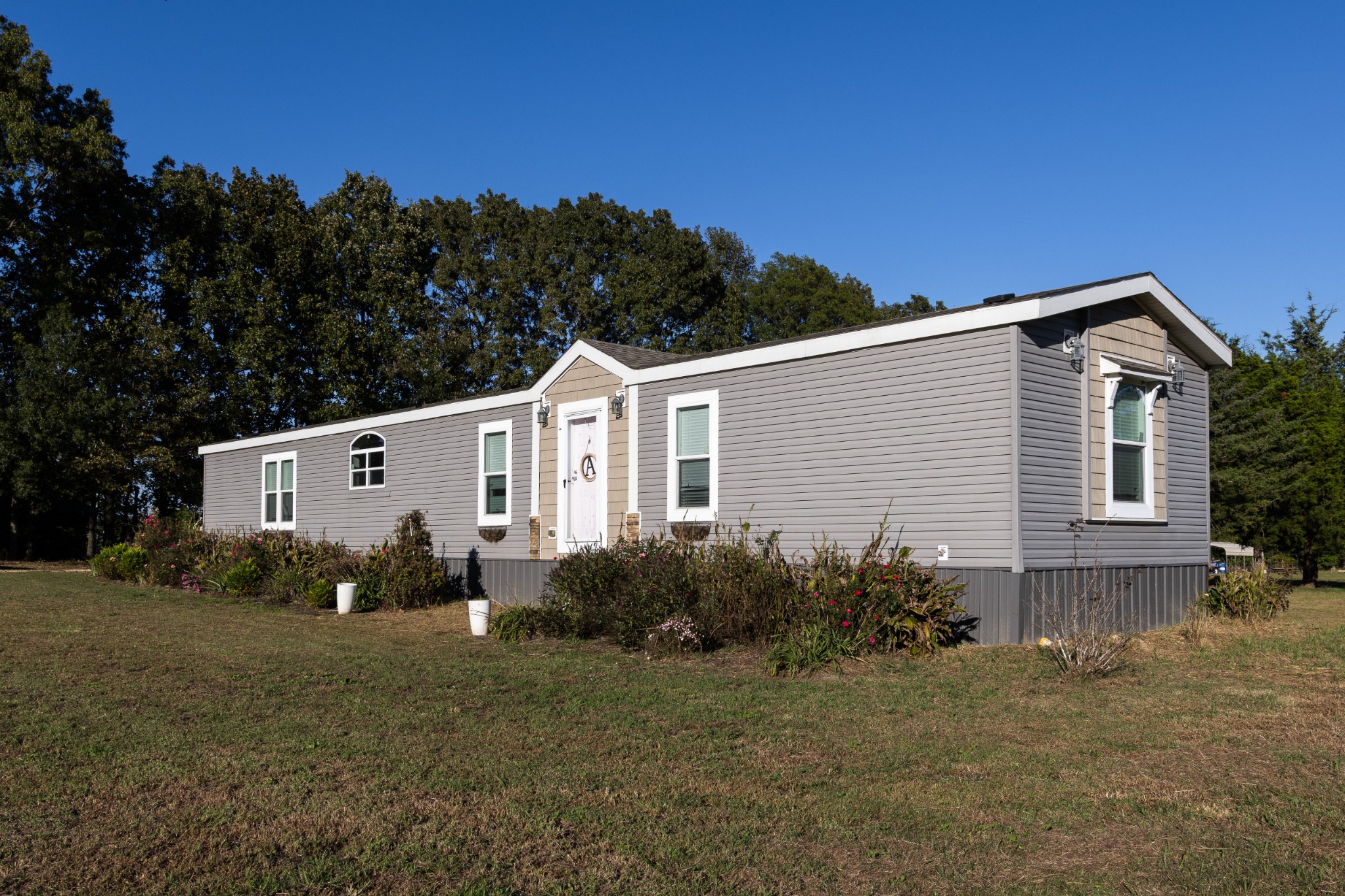 307 Swiss Colony Road Hohenwald, TN 38462 - Photo 3 of 35 a view of a backyard with plants and large trees
