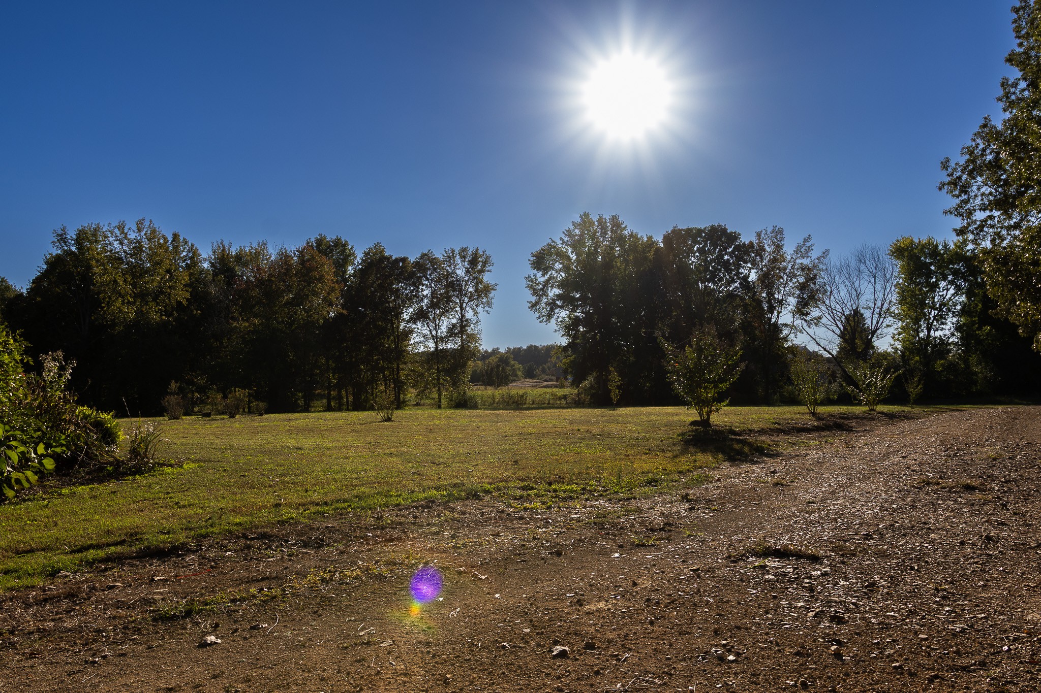 307 Swiss Colony Road Hohenwald, TN 38462 - Photo 32 of 35 a view of a field with trees in the background