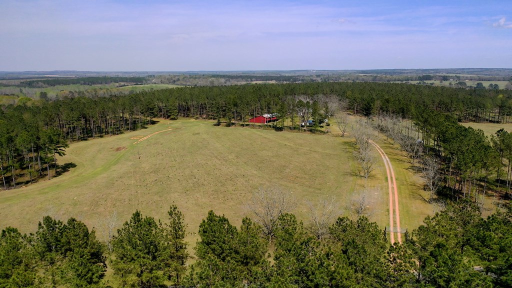 369 Bud Gary Road Clayton, AL 36016 - Photo 31 of 42