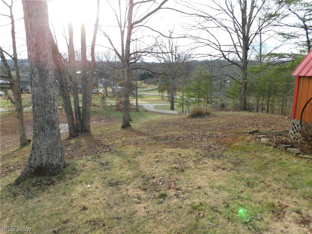 361 Anderson Road Davisville, WV 26142 - Photo 20 of 20 Front the front yard porch area looking down the driveway you can see there are NO homes right next to you.