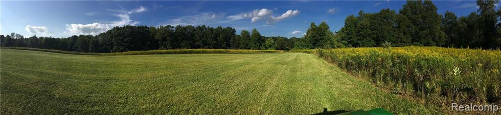 7 Lake George Road Oxford, MI 48370 - Photo 3 of 12