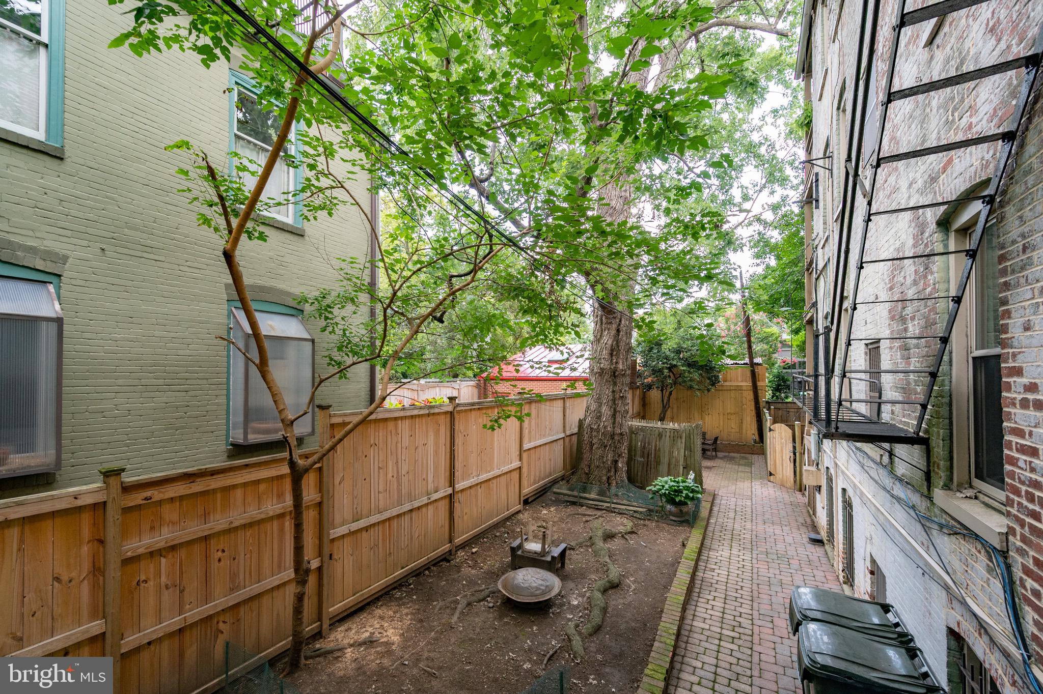 216 4th Street Southeast Washington, DC 20003 - Photo 73 of 85