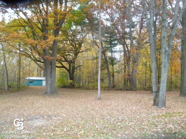 7722 Big Hand Road Columbus, MI 48063 - Photo 32 of 47 fall view of woods