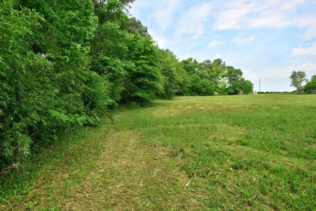 Lot 1 McCord Road Dothan, AL 36301 - Photo 5 of 10