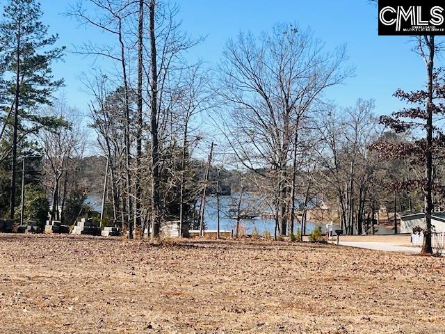 Maple Knoll Road Prosperity, SC 29127 - Photo 5 of 15