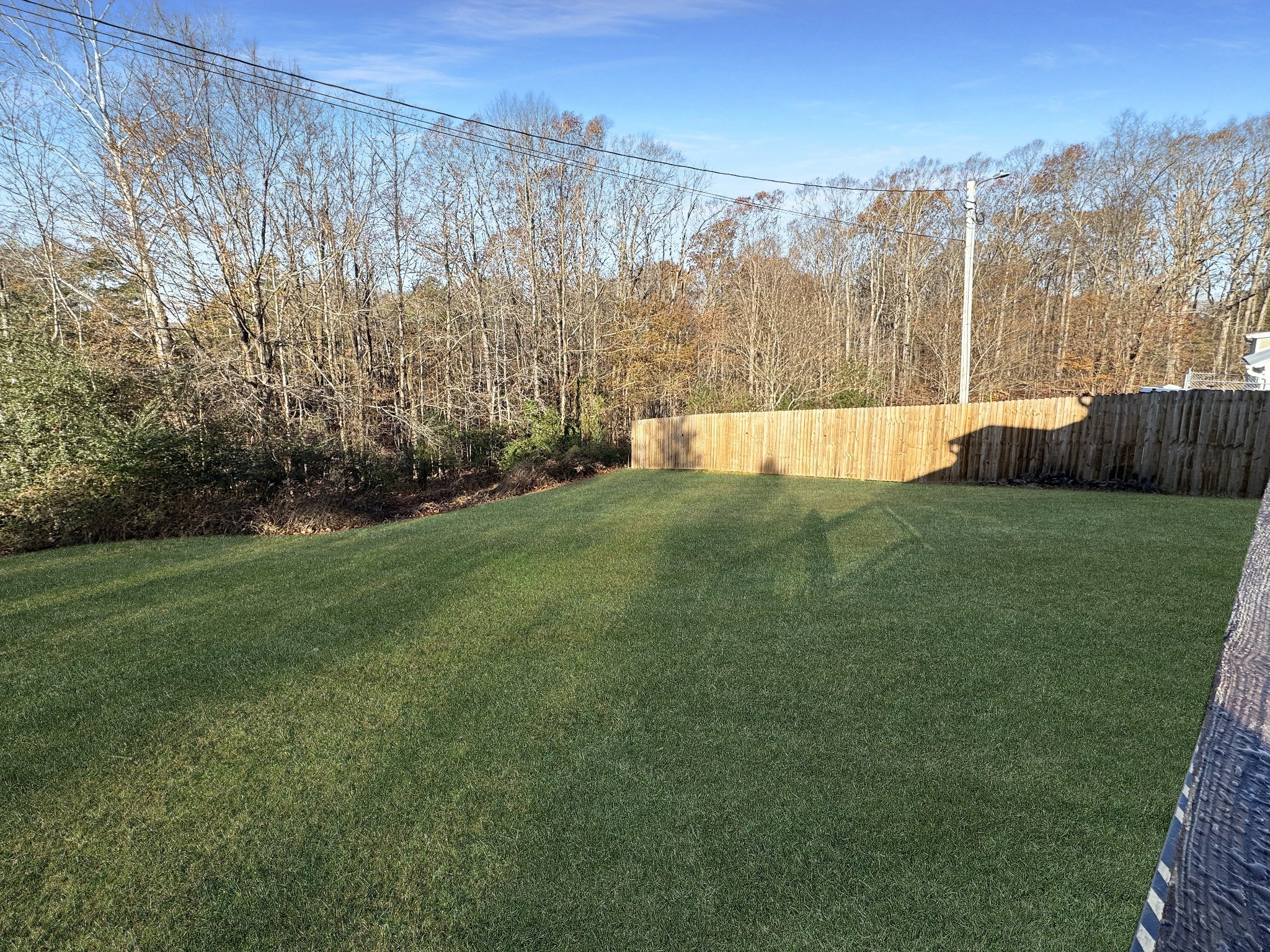 103 Thomas Road Dover, TN 37058 - Photo 16 of 16 a view of yard with swimming pool and trees