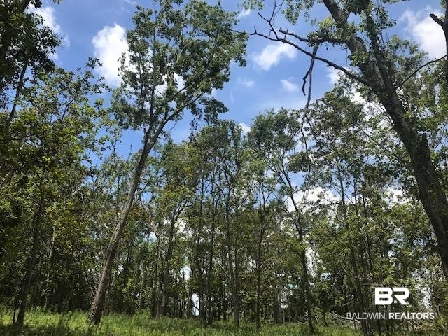 13911 County Road 49 South Foley, AL 36535 - Photo 1 of 4