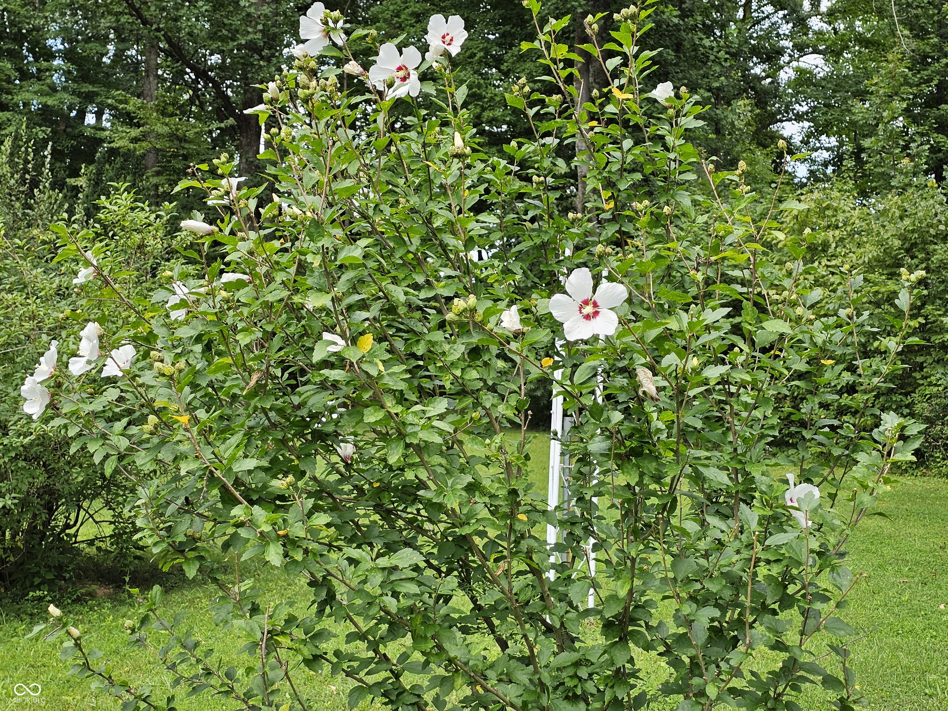6141 Sand Hill Road Poland, IN 47868 - Photo 41 of 65 Gallery Image 41