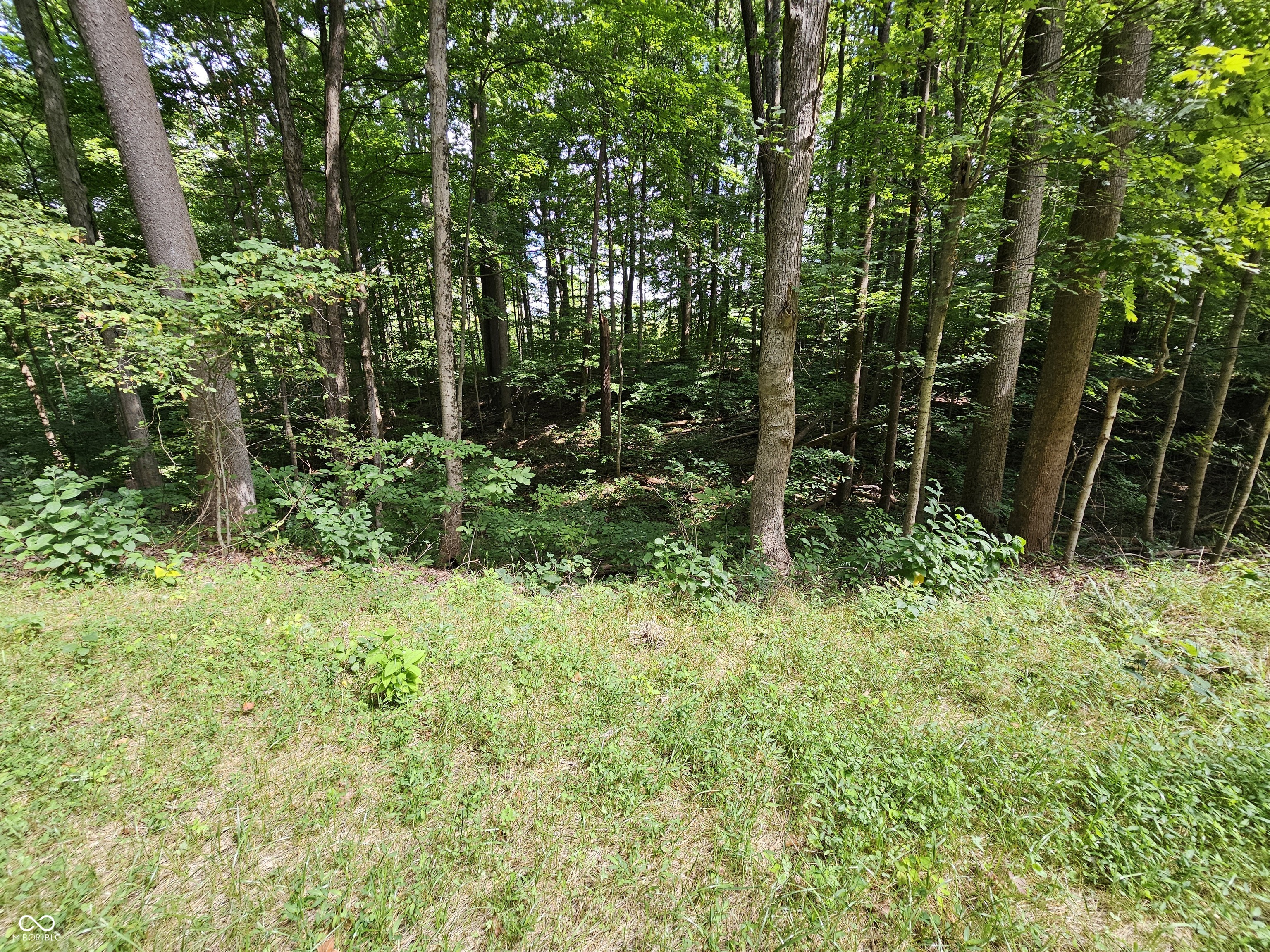 6141 Sand Hill Road Poland, IN 47868 - Photo 52 of 65 Gallery Image 52