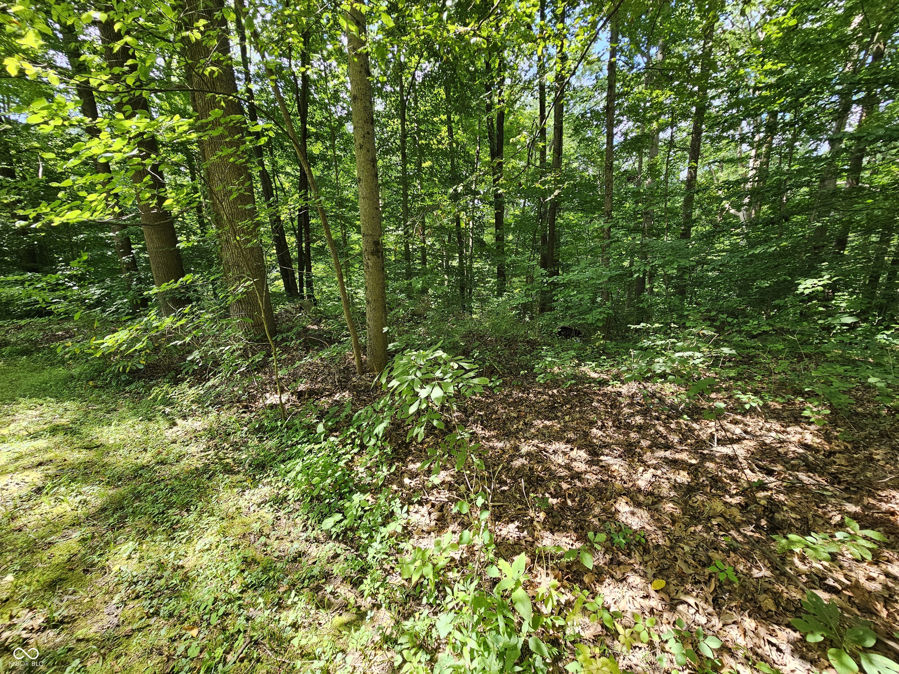 6141 Sand Hill Road Poland, IN 47868 - Photo 55 of 65 Gallery Image 55