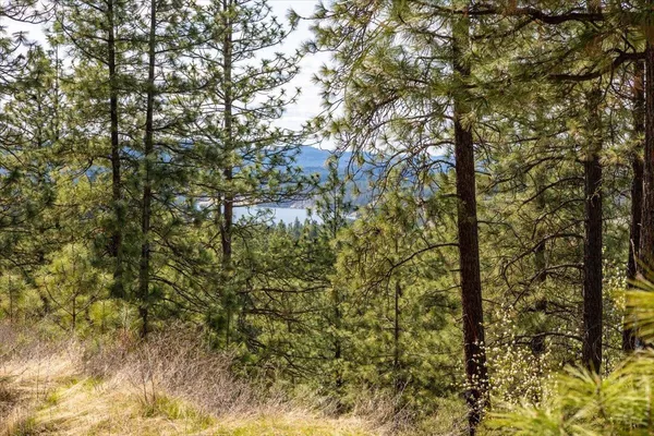 $110,000 | 0 North Mathias Lane, Nine Mile Falls, WA 99026
