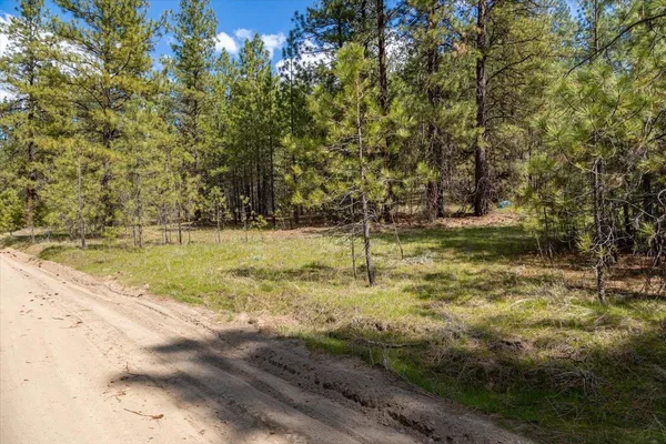 $110,000 | 0 North Mathias Lane, Nine Mile Falls, WA 99026