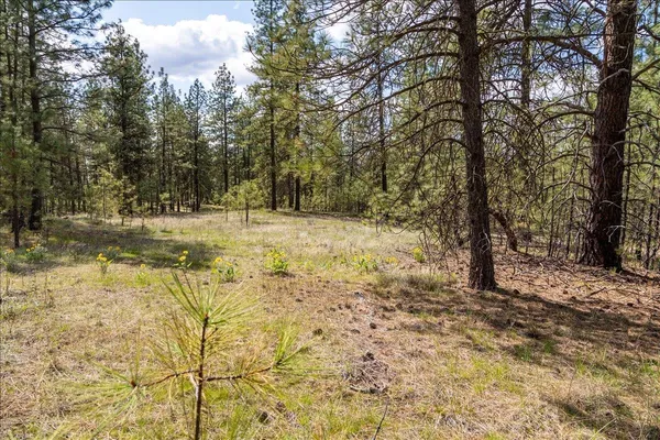 $110,000 | 0 North Mathias Lane, Nine Mile Falls, WA 99026