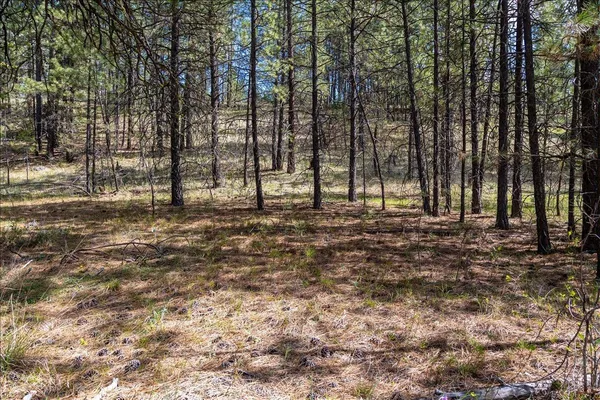 $110,000 | 0 North Mathias Lane, Nine Mile Falls, WA 99026