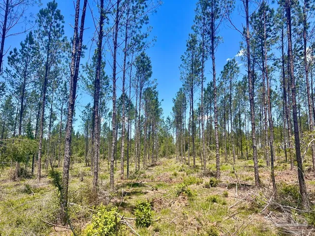 a view of swimming pool next to a yard