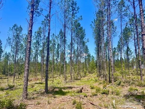 $249,000 | 320 15 Highway 29, China Grove, NC 28023