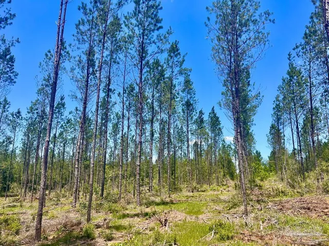 a view of a yard covered in snow