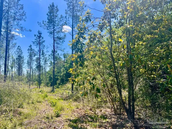 $249,000 | 320 15 Highway 29, China Grove, NC 28023