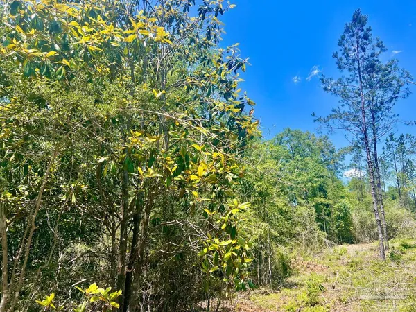 $249,000 | 320 15 Highway 29, China Grove, NC 28023