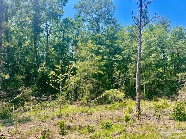 $249,000 | 320 15 Highway 29, China Grove, NC 28023