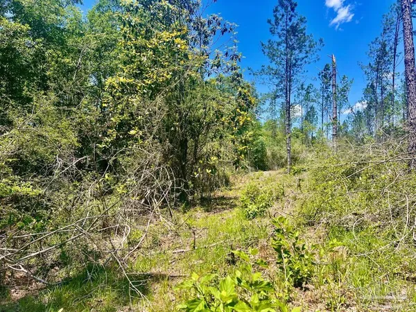 $249,000 | 320 15 Highway 29, China Grove, NC 28023
