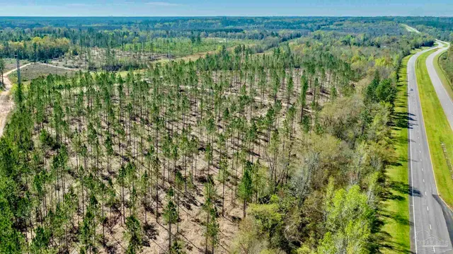a view of a green field with lots of bushes