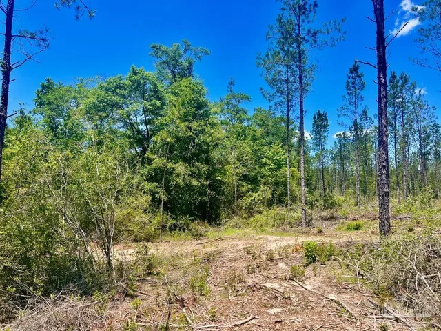 a view of an outdoor space