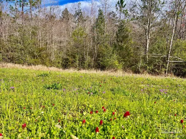 $249,000 | 320 15 Highway 29, China Grove, NC 28023