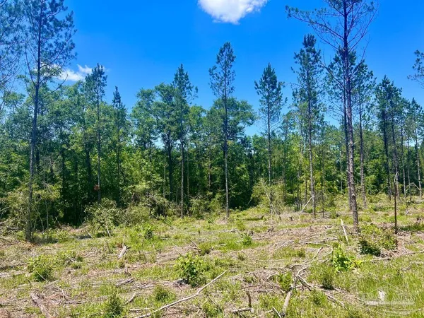 $249,000 | 320 15 Highway 29, China Grove, NC 28023