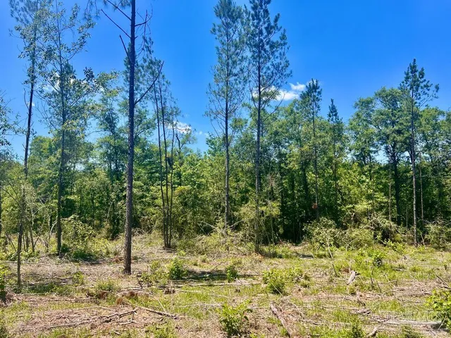 a view of outdoor space with trees