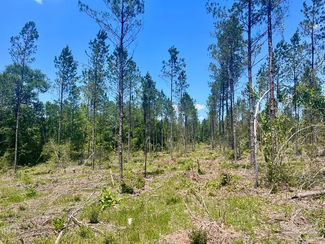 a view of lake with green space