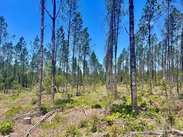 $249,000 | 320 15 Highway 29, China Grove, NC 28023